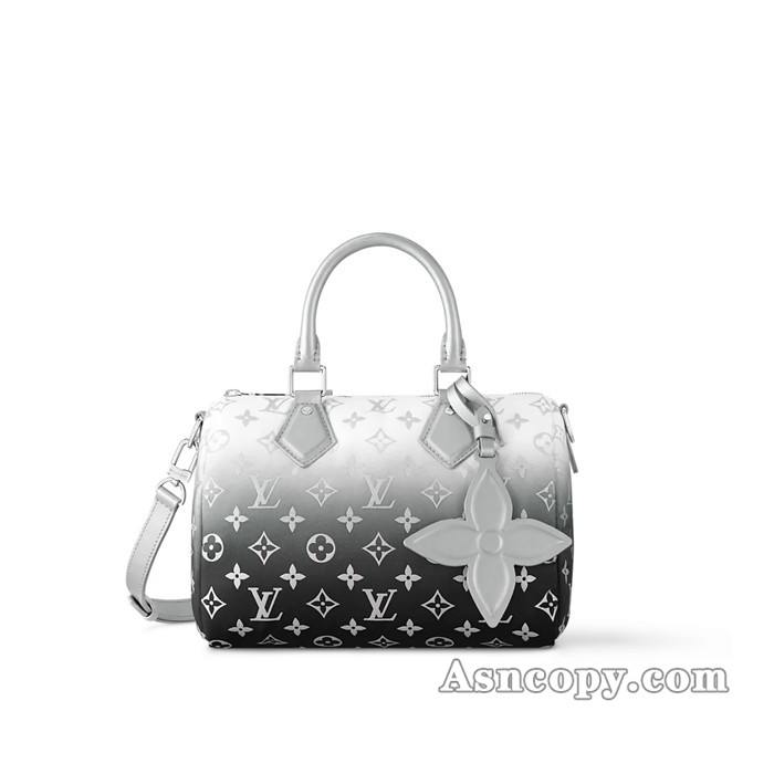 ルイヴィトンモノグラム･ナイロンスピーディ･バンドリエール 25ショルダーバッグ  M11848フロスト